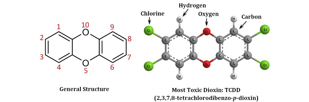 Figure 1. General structure of dioxins and the most toxic dioxin (TCDD) Credit: Yun-Ya Yang, UF/IFAS