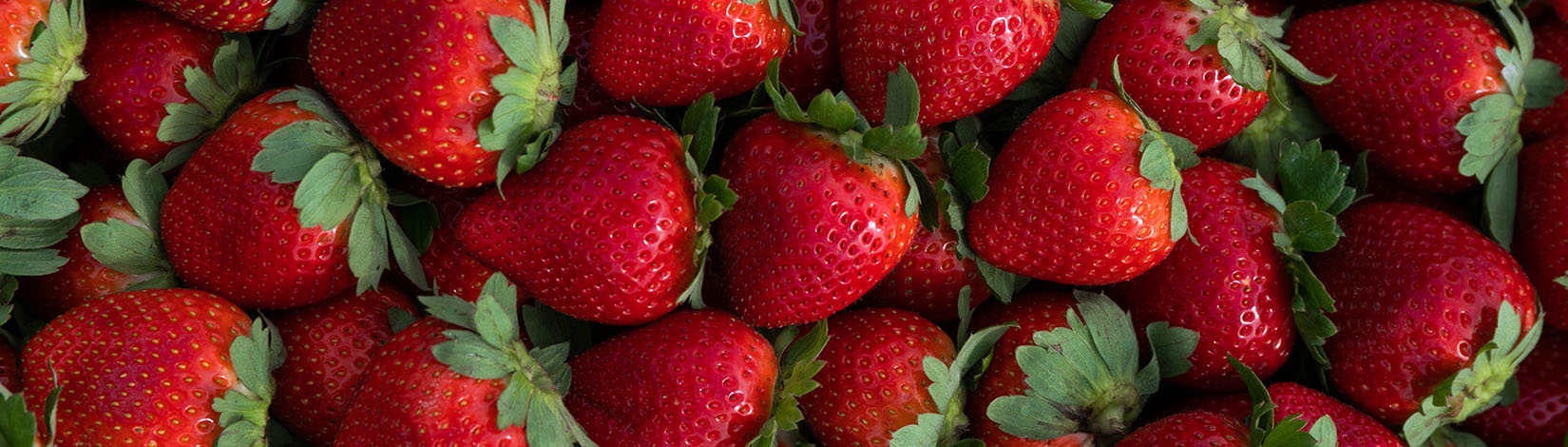 Fresh and vibrant strawberries.