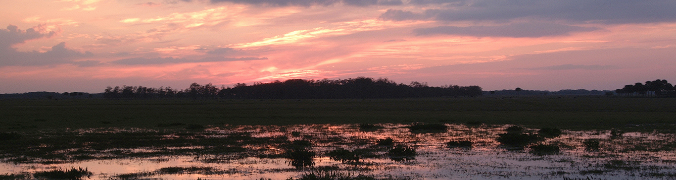 Big Cypress National Preserve, Seminole Indian Reservation. Photo by Eric Zamora