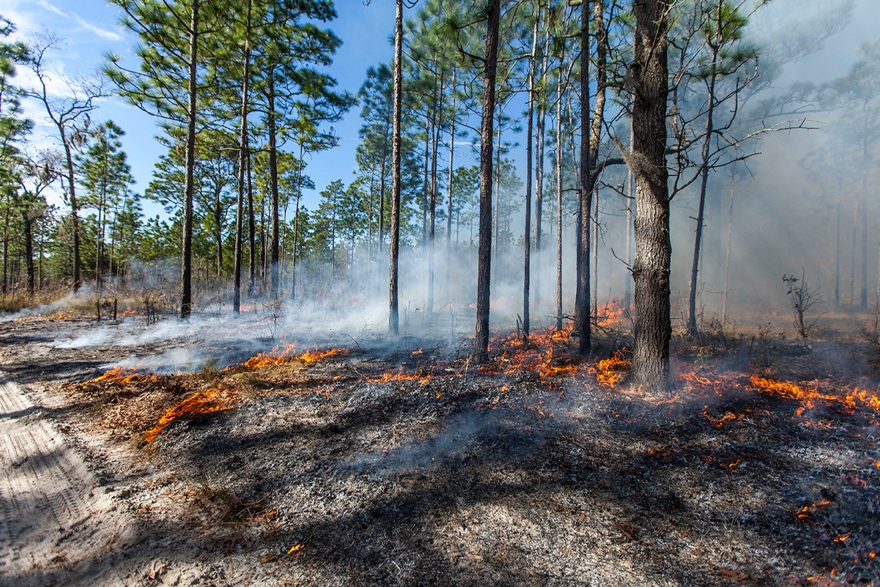 Where There's Fire, There's Smoke Air Quality and Prescribed Burning