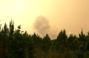 Photo of a hazy, yellow sky and thick smoke from wildfire. UF/IFAS Photo: Thomas Wright.