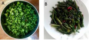  Cooked choy sum. A) Flowered choy sum chopped into pieces and stir-fried with dried chili pepper. B) Purple choy sum chopped and stir-fried with garlic and Sichuan peppercorns. Credit: Yi Wang, Kaijiang, Sichuan, China