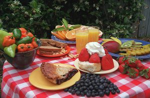 Photo of a picnic including peppers, blueberries and blueberry pie, strawberries and strawberry shortcake, oranges and orange juice, peanuts and a peanut butter sandwich, and sliced mangoes and kiwis. Most of these crops rely on bee pollination.