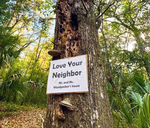 A photo of a dead tree trunk full of woodpecker holes and with shelf fungus growing on it. Green trees and blue sky in the background. A laminated sign posted on the tree reads "Love Your Neighbor," and under that in smaller type, "Mr. and Ms. Woodpecker's House."