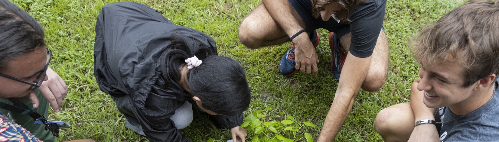 Plant Sciences students picking through a tray of plants. Photo taken 09-01-23.