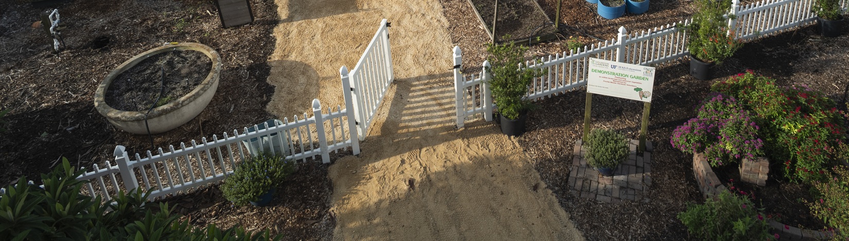 Aerial view of an open garden gate.