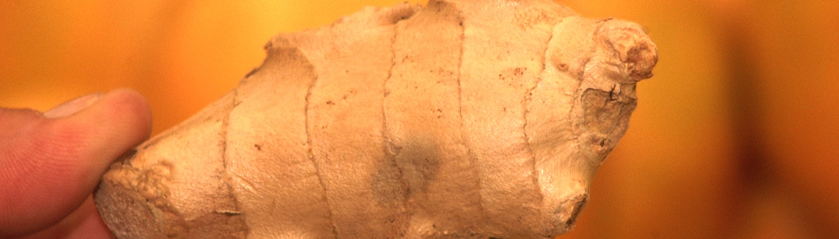 Close-up of a clean ginger rhizome.