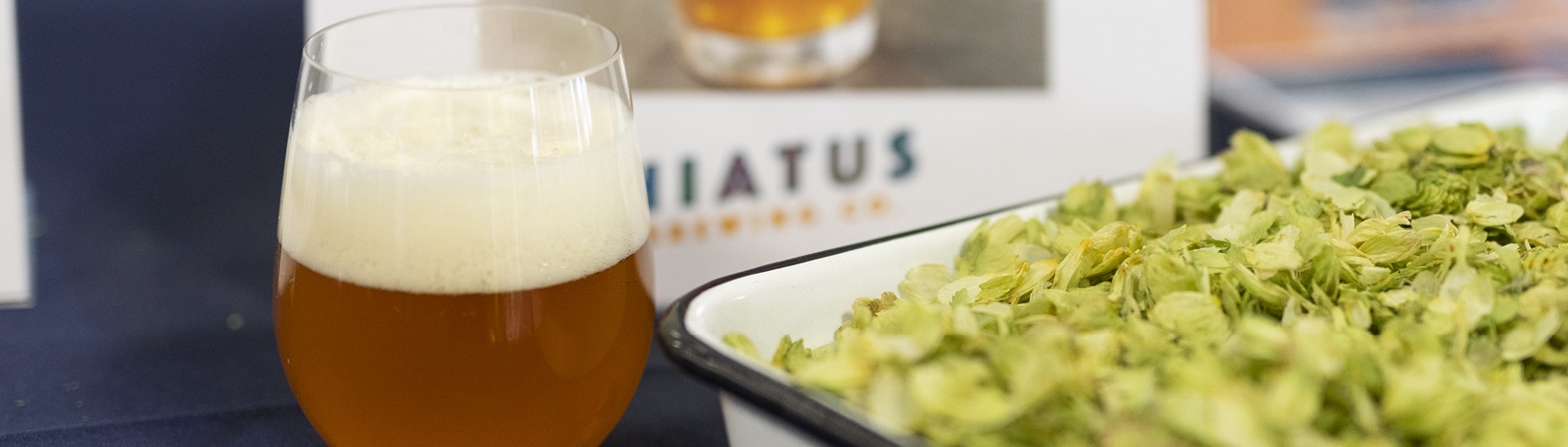 A glass of amber-colored beer and a white metal tray of green hops.