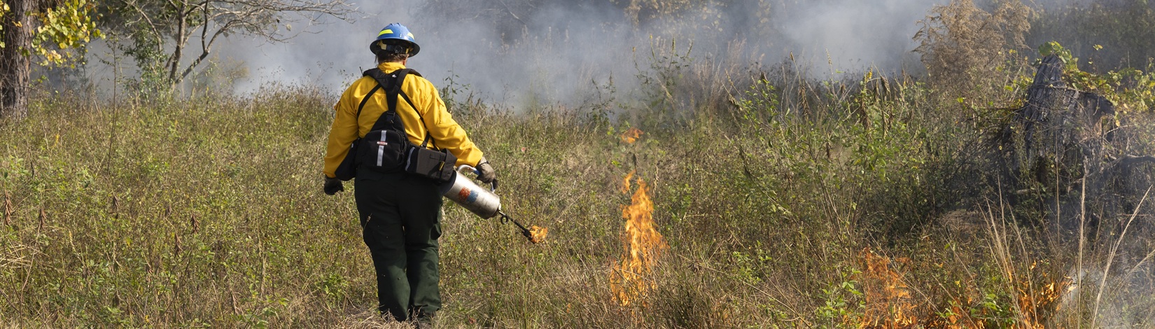 A person in PPE walks through a landscape with a drip torch.