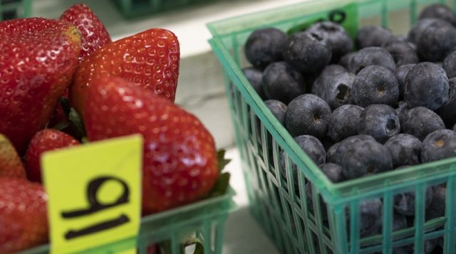Close-up of teal plastic net berry boxes containing strawberries, blueberries, and possibly a mango or an apple.