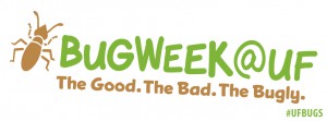 BugWeekLogoRectangle