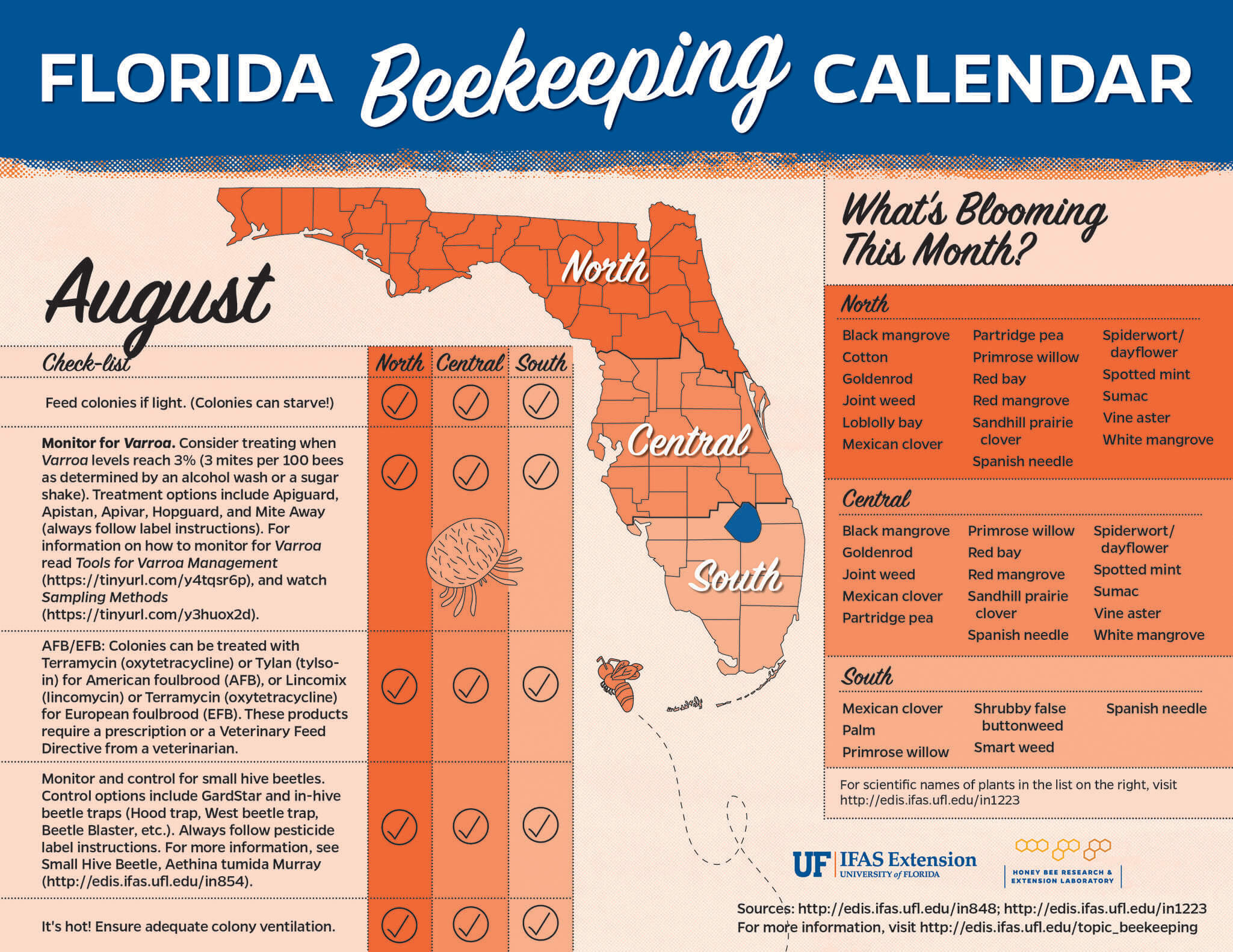 Florida beekeeping calendar for the month of August