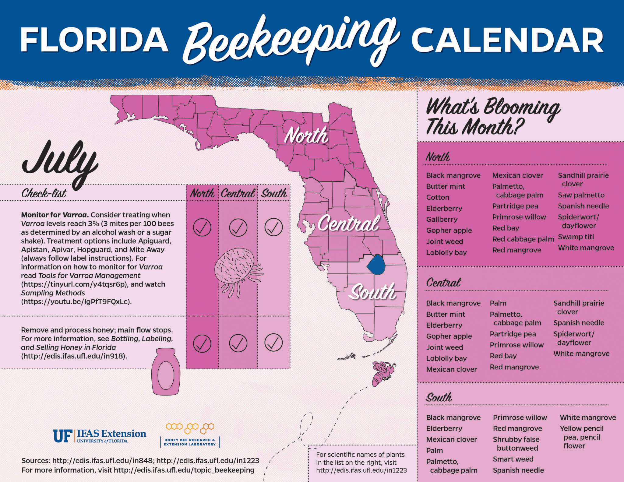 Florida beekeeping calendar for the month of July