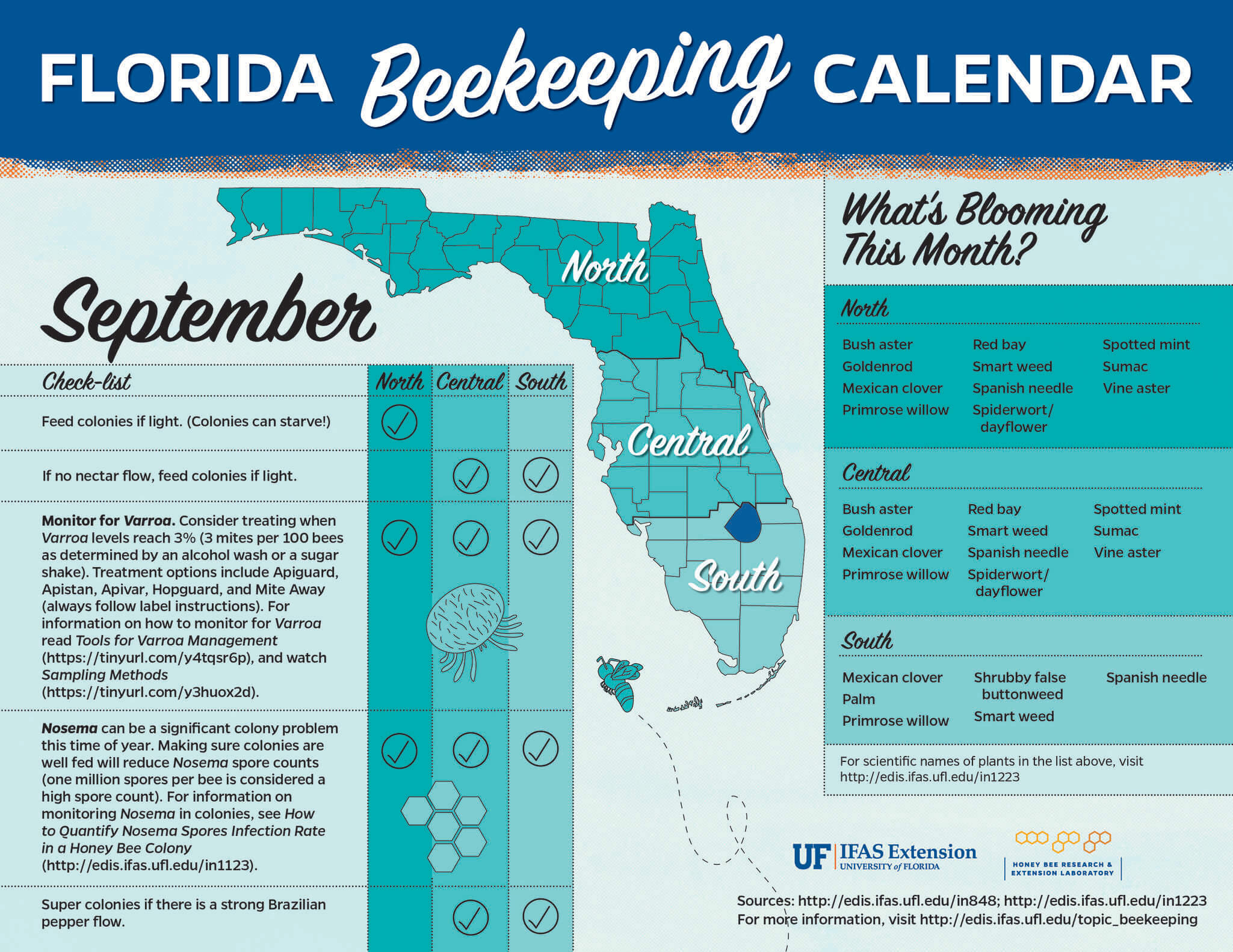 Florida beekeeping calendar for the month of September