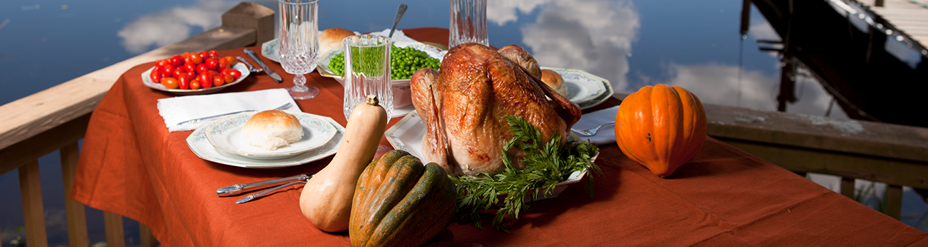 Thanksgiving feast