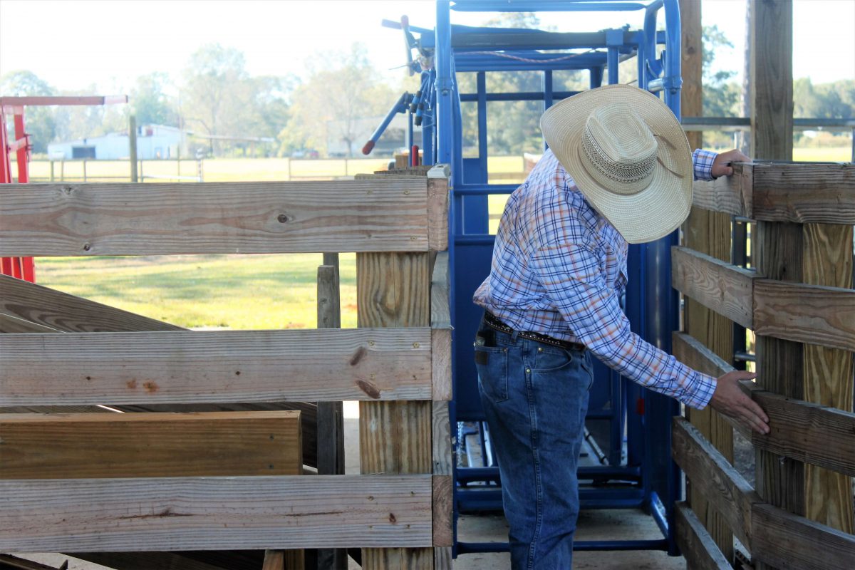 Farm Management Archives Uf Ifas Extension Escambia County