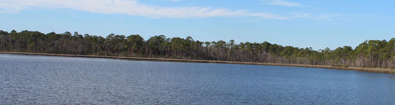 Escambia Extension - THE PENSACOLA BAY GREAT SCALLOP SEARCH It's
