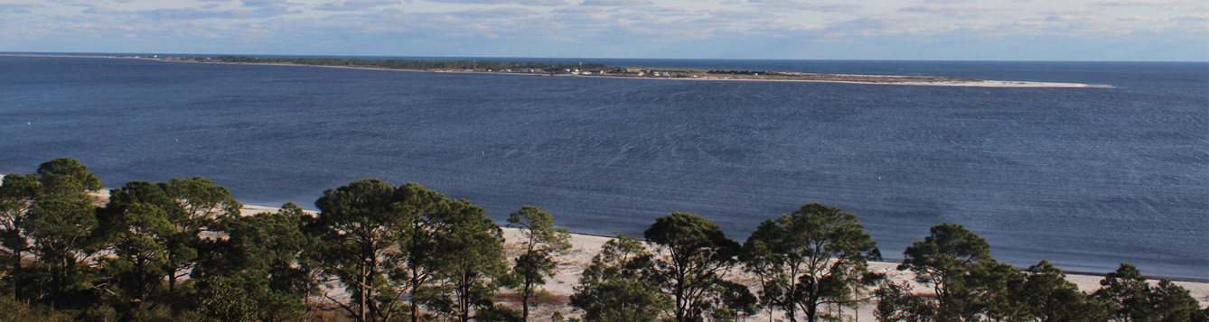 Weekly What is it?: Sea Foam - UF/IFAS Extension Escambia County