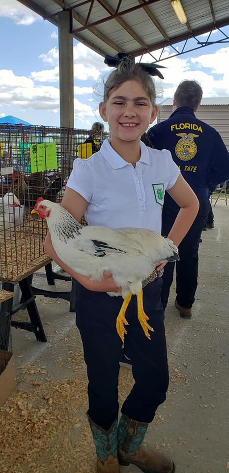 4-H Chick Chain: Are You Ready for Your Next Challenge? - UF/IFAS ...
