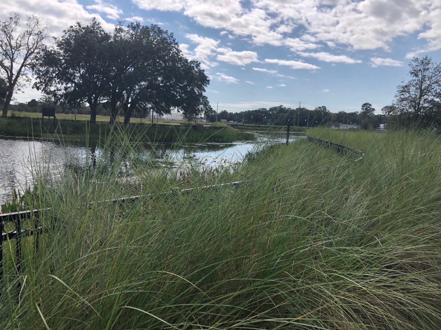 Weekly “what Is It” Stormwater Ponds Ufifas Extension Escambia County