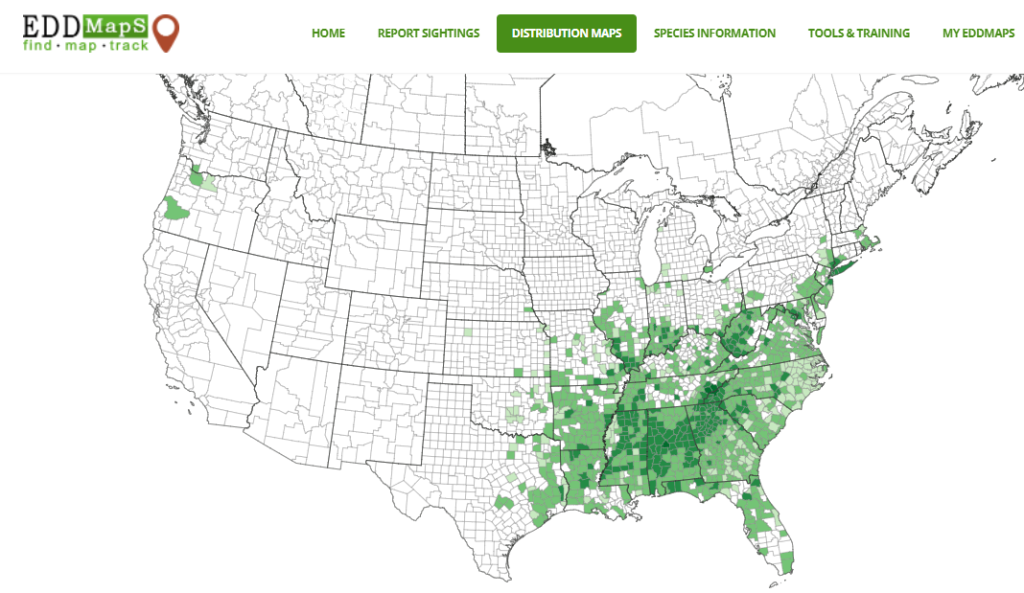 Weekly What Is It Kudzu Ufifas Extension Escambia County