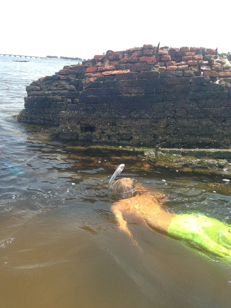 Weekly "What is it?" Deadman's Island UF/IFAS Extension Escambia County