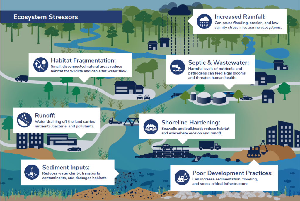 Weekly “What is it?”: The PPBEP CCMP - UF/IFAS Extension Escambia County