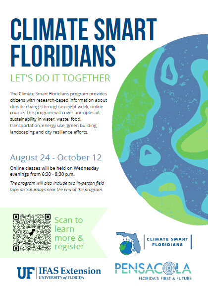 Weekly What is it?: Sea Foam - UF/IFAS Extension Escambia County