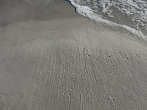 a beach with a wave and small holes in the sand