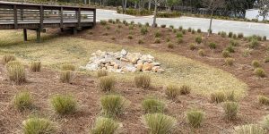 grassed area with rocks inside it