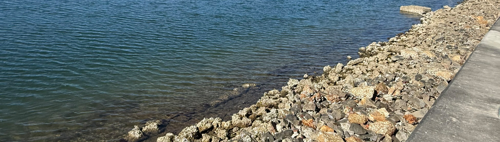 Weekly “What is it?”: Riprap