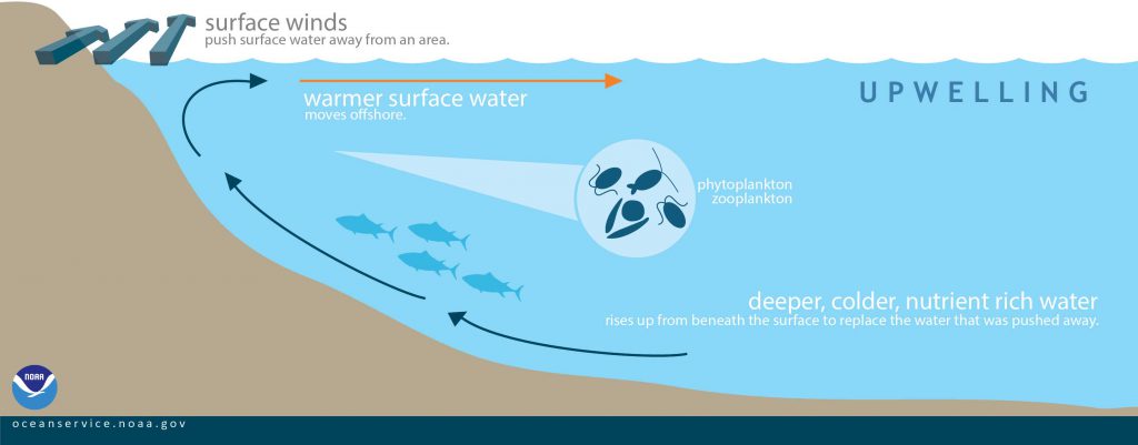 Understanding The 2017-2018 Florida Red Tide - UF/IFAS Extension