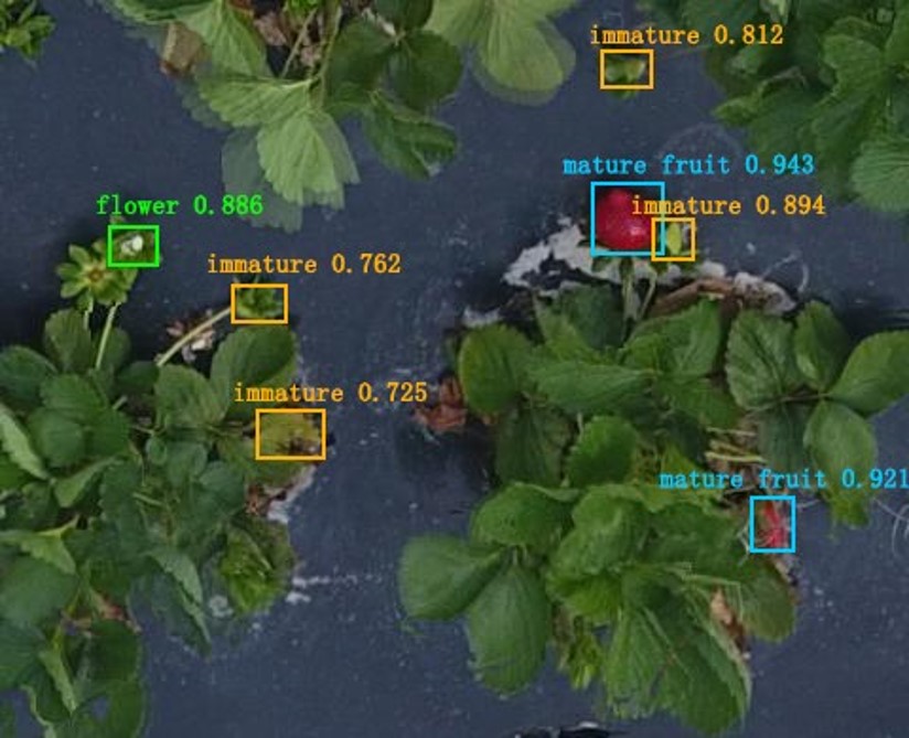 Artificial Intelligence: The Next Revolution in Agriculture - UF/IFAS ...