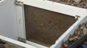 image of root flush box which is a box with 2 screened sides that allow reseachers to observe root growth