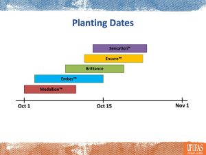Slide image showing planting dates