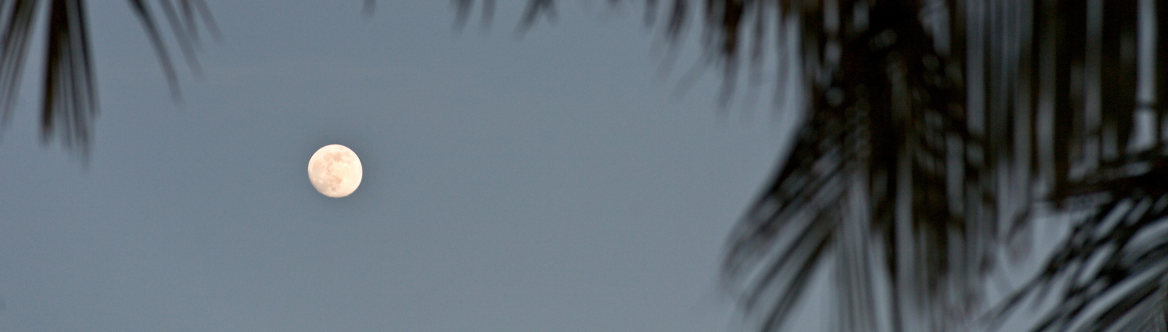 Florida Land Steward Update, November 7, 2025