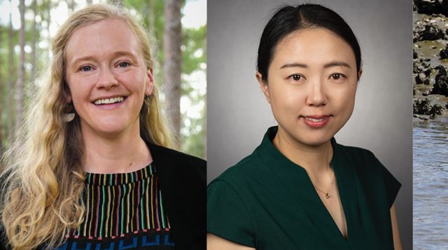 FFGS Faculty members Braswell, Li, selected as Gulf Research Program Fellows