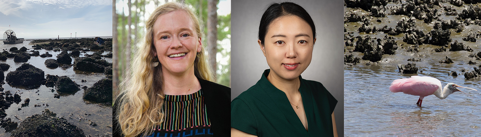FFGS Faculty members Braswell, Li, selected as Gulf Research Program Fellows