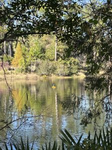 A unmanned surface vehicle taking readings of Lake Mize transits the lake's surface.