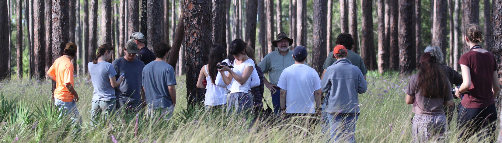 Into the Woods: UF art students find inspiration in Austin Cary Forest