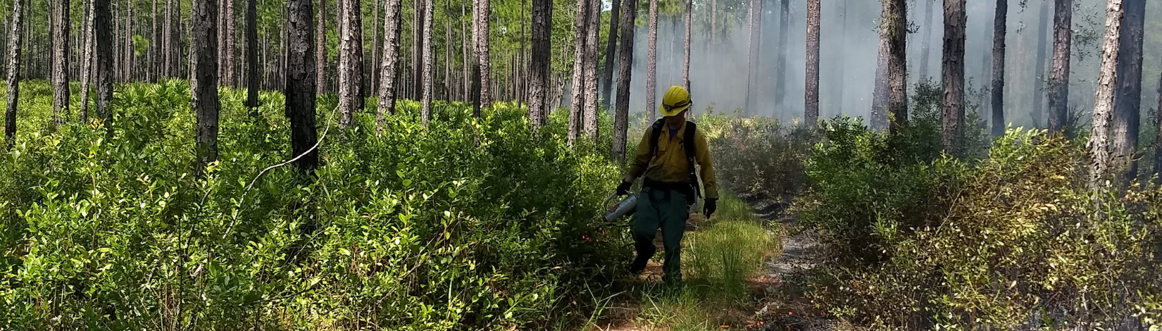 Florida Land Steward Update, January 30, 2026