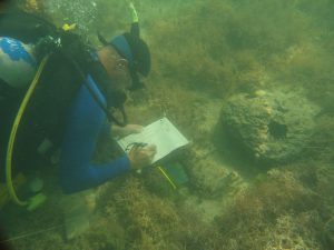 Mark J. Butler IV, Ph.D, collects data underwater in Florida Bay, the location of the study.