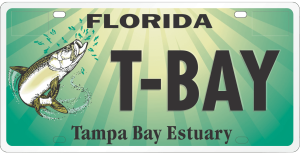 Tarpon Tag license plate that supports Tampa Bay Estuary Program mini-grant projects