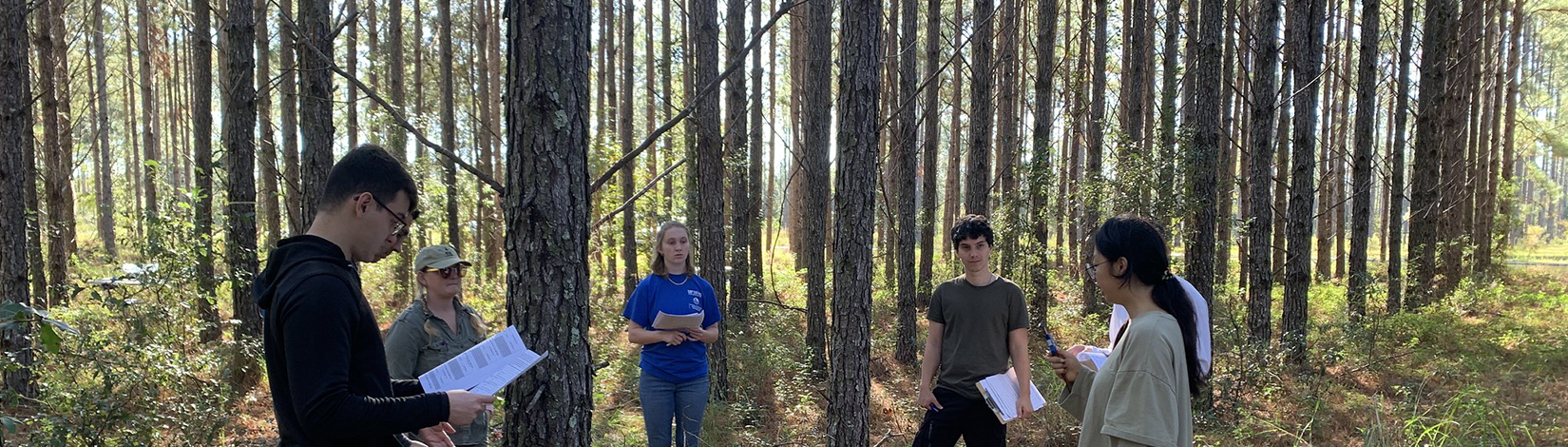 Photo of students in the woods