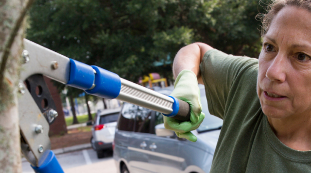 Meet the people behind the trees: Getting to know Larry Figart and why tree stewardship matters