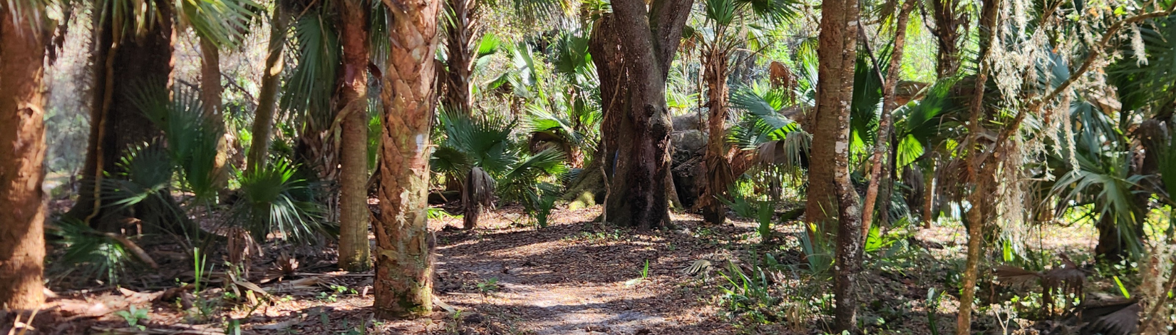 Florida Land Steward Update, January 16, 2026
