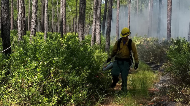 Florida Land Steward Update, January 30, 2026