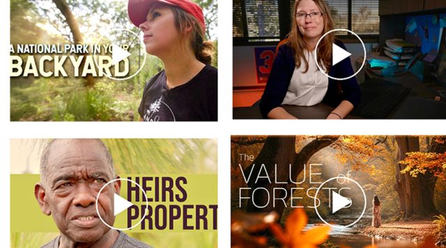 UF video series addresses useful topics to support Florida forest and landowners