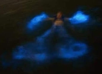 A person laying in the water creating a "snow angel" of bioluminesence