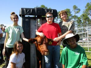 group picture with kids and head shot of cow in chute